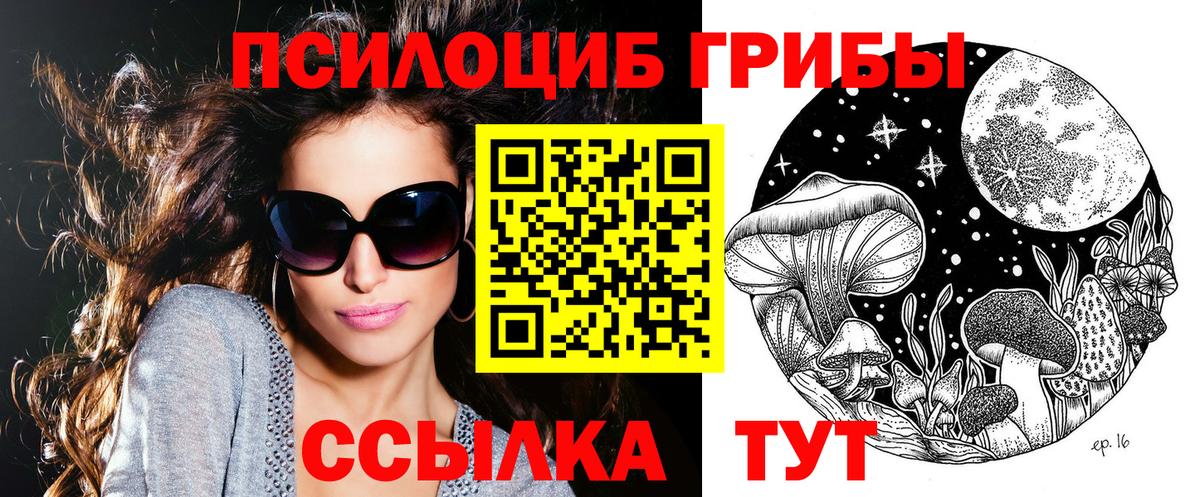 Новодвинск  Галлюциногенные грибы мицелий  Вход с VPN 