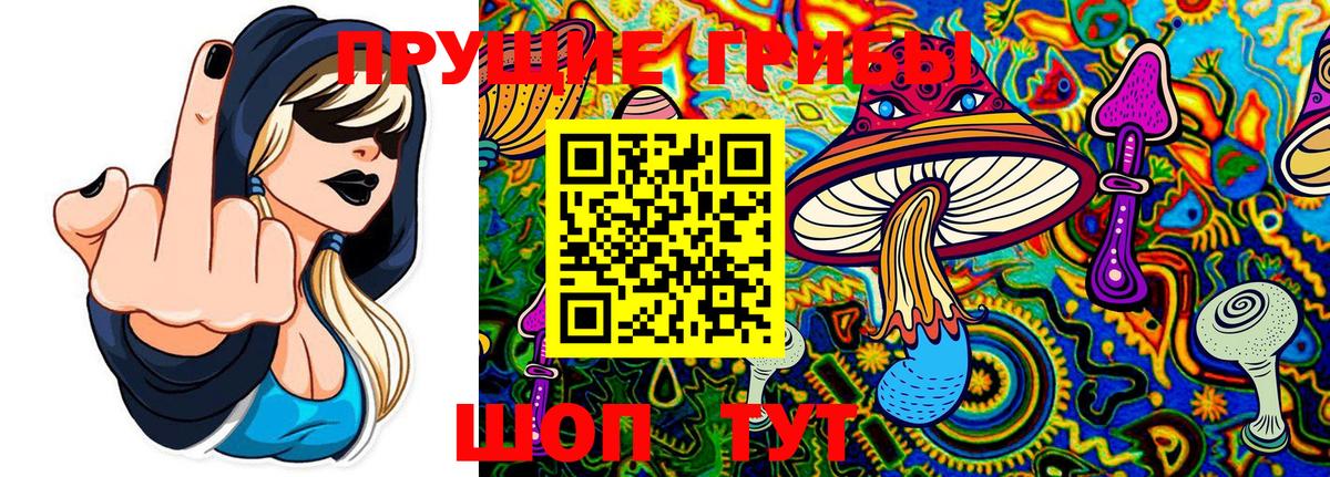 Псилоцибиновые грибы мухоморы Новодвинск